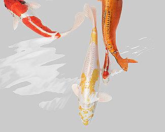 日本一或将推出新作《真空饲育箱2》 6月30日发售